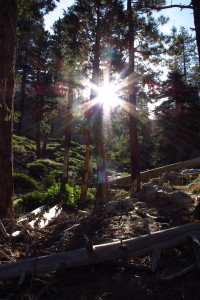 San Gorgonio in the morning